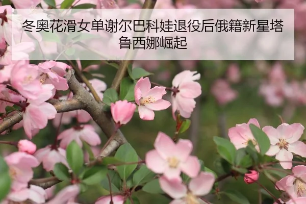 冬奥花滑女单谢尔巴科娃退役后俄籍新星塔鲁西娜崛起