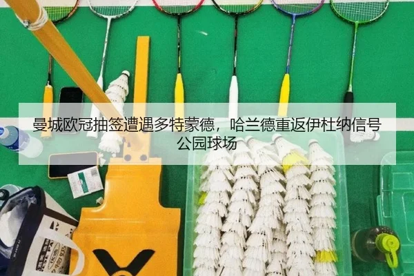 man-cheng-ou-guan-chou-qian-zao-yu-duo-te-meng-de-ha-lan-de-chong-fan-yi-du-na-xin-hao-gong-yuan-qiu-chang-2-882.jpg