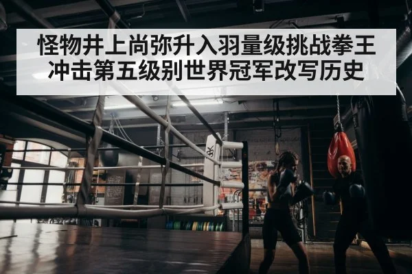 怪物井上尚弥升入羽量级挑战拳王 冲击第五级别世界冠军改写历史